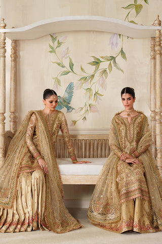 BAROQUE NEW HAND MADE NET PARTY WEAR AZEZ-081