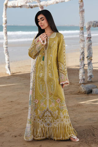 QALAMKAR NEW CHIKANKARI LUXURY LAWN COLLECTION