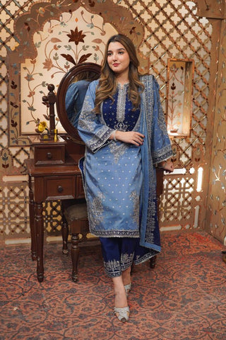 ANEELAS NEW SILK PARTY WEAR