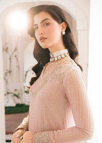 RANG E HAYA NEW CHIFFON DRESS