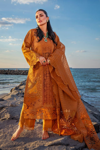 RANG RASIYA NEW CHIKANKARI RUST LUXURY LAWN COLLECTION
