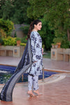 ANEELAS NEW PRINTED LUXURY LAWN COLLECTION