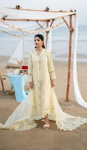 AABYAAN NEW CHIKANKARI LUXURY LAWN COLLECTION