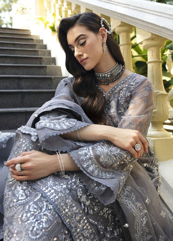 Gulaal Grey Formal Organza Collection