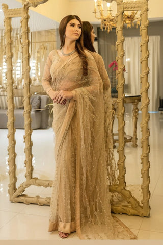 SABYASACHI NEW PARTY WEAR NET SAREE