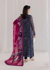 NUREH NEW CHUNRI CHIFFON FORMAL WEAR CAEZ-033