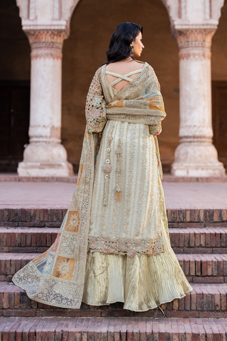 IZNIK NEW KHADDI NET PARTY WEAR
