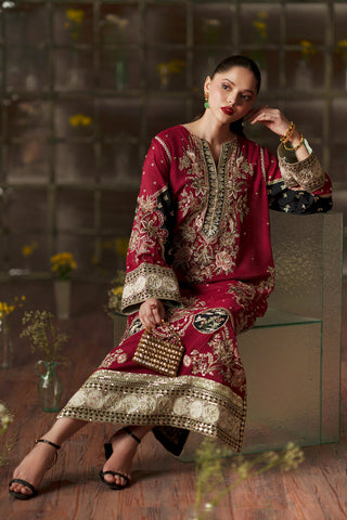 ETHNC NEW RED SILK PARTY WEAR FDZZ-103