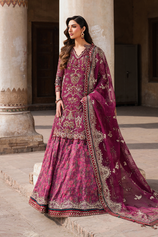 IZNIK NEW EXCLUSIVE ORGANZA GHARARA COLLECTION