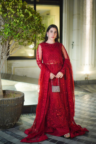 ANEELAS NEW EXCLUSIVE NET COLLECTION