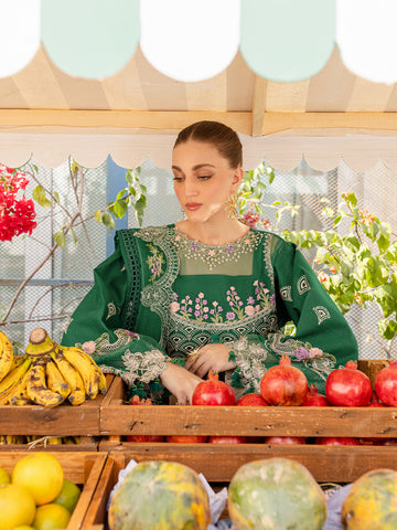 PARISHAY NEW LUXURY LAWN COLLECTION