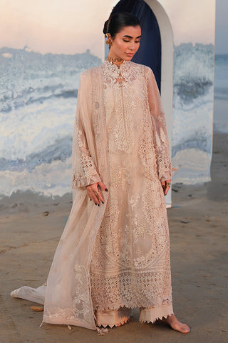 QALAMKAR NEW KHADDI NET PARTY WEAR