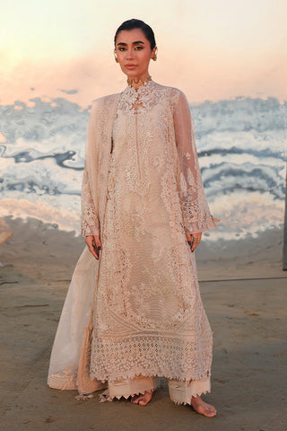 QALAMKAR NEW KHADDI NET PARTY WEAR
