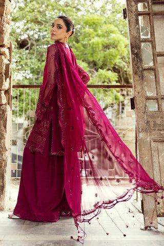 QALAMKAR NEW CHIFFON PARTY WEAR