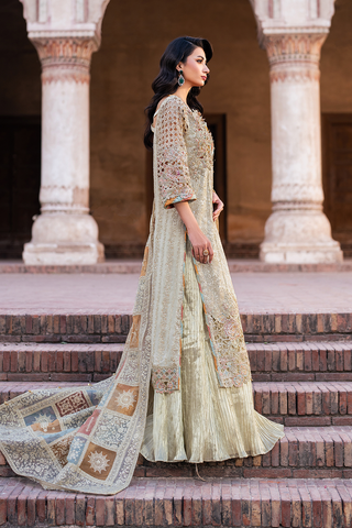 IZNIK NEW KHADDI NET PARTY WEAR
