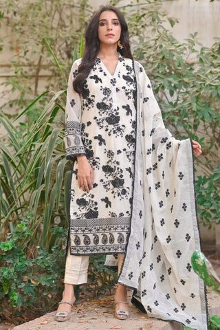 HADIZOUTFIT NEW EXCLUSIVE CHIFFON PARTY WEAR
