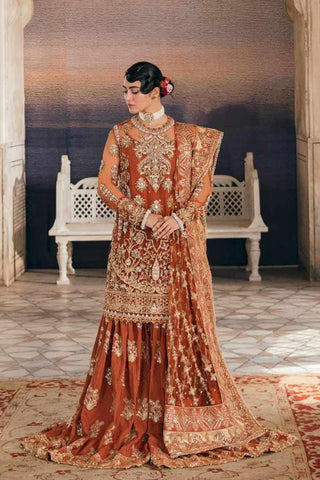 AFROZEH NEW EXCLUSIVE BRIDAL GHARARA COLLECTION