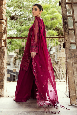 QALAMKAR NEW CHIFFON PARTY WEAR