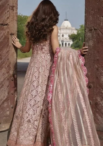 CRIMSON NEW TEA PINK BRIDAL NET MAXI