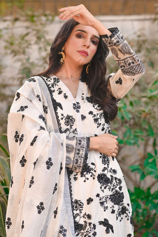 HADIZOUTFIT NEW EXCLUSIVE CHIFFON PARTY WEAR
