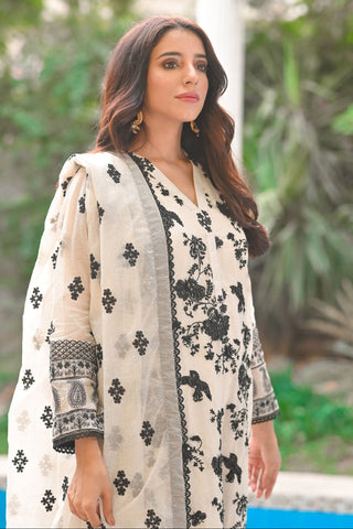 HADIZOUTFIT NEW EXCLUSIVE CHIFFON PARTY WEAR