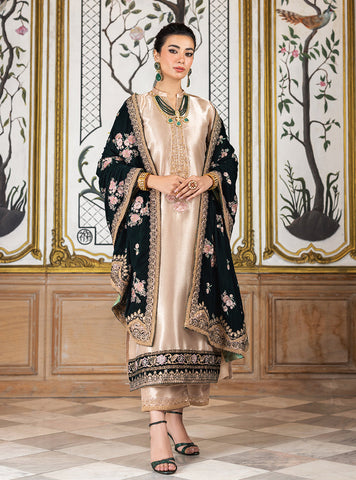 ZAINAB CHOTTANI NEW WINTER COLLECTION