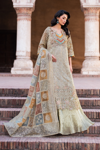 IZNIK NEW KHADDI NET PARTY WEAR