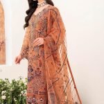 Pakistani-Dress-C945G_1